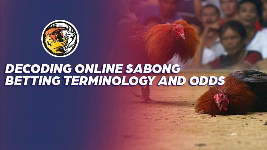 Decoding live sabong playing wala or meron Terminology and Odds