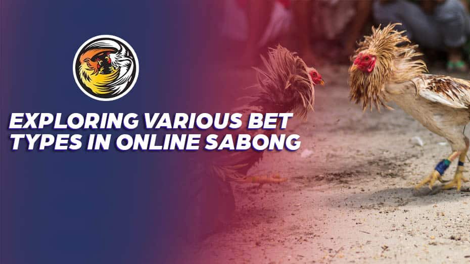 Exploring Various playing wala or meron Types in live 24x7 streaming Sabong