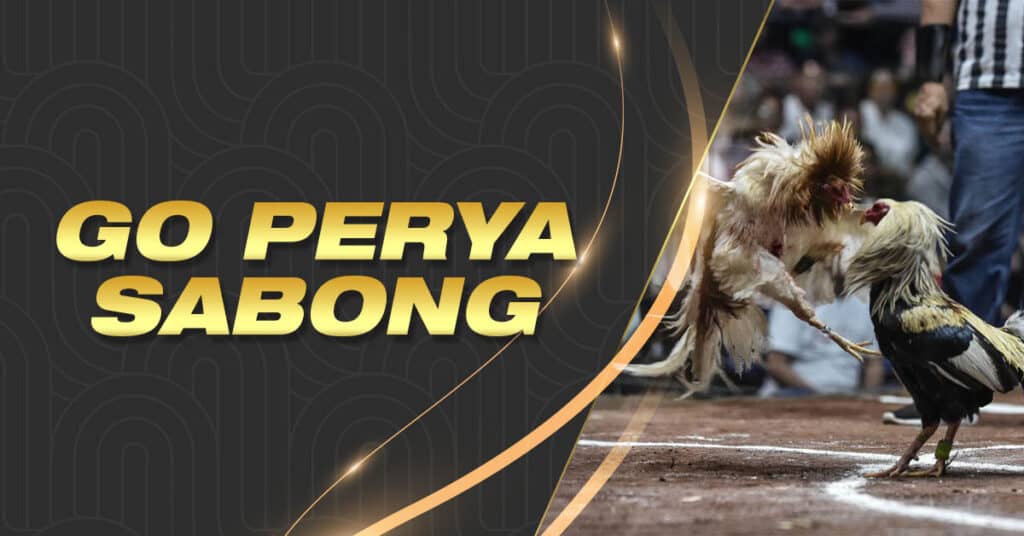 Go perya Sabong (Review)