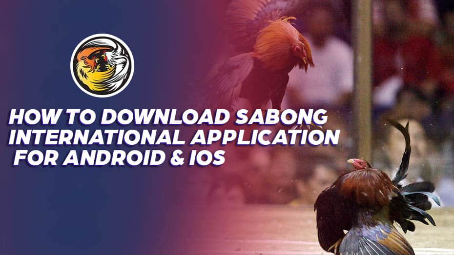 How to Download Sabong filipino Application for Android & iOS