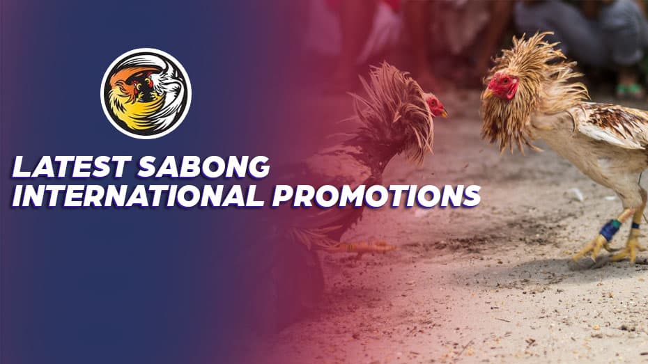 Latest Sabong filipino Promotions