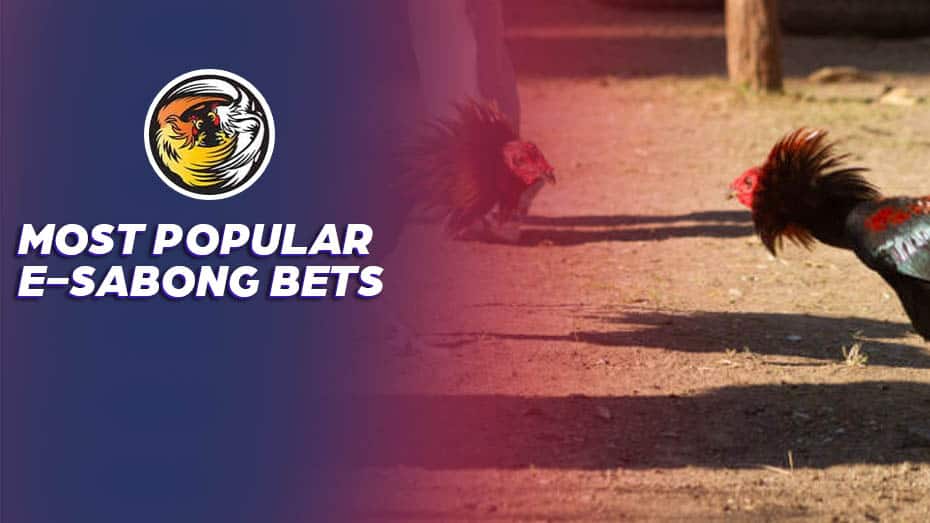 Most Popular E-Sabong Bets