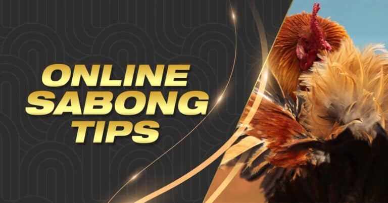 Online Sabong tips