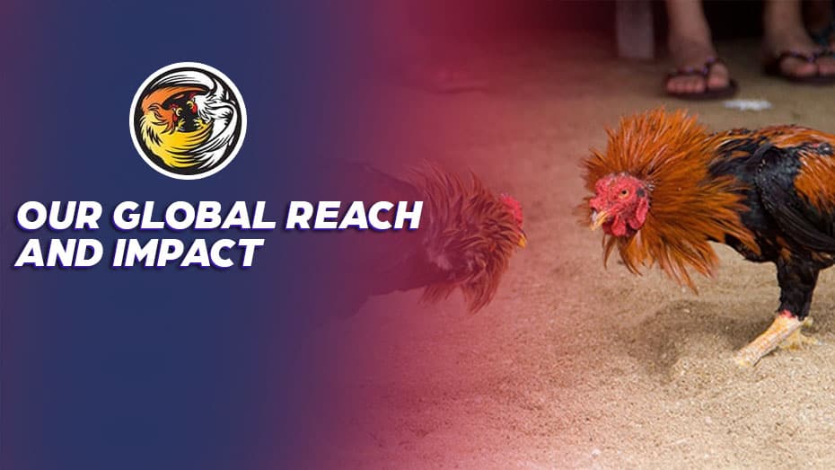 Our Global Reach and Impact