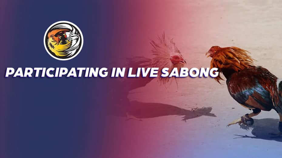 Participating in Live Sabong