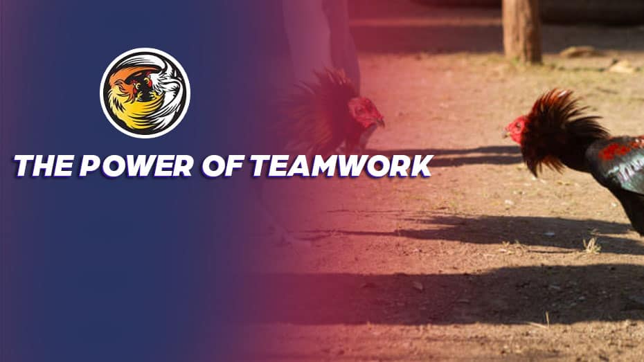 The Power of Teamwork