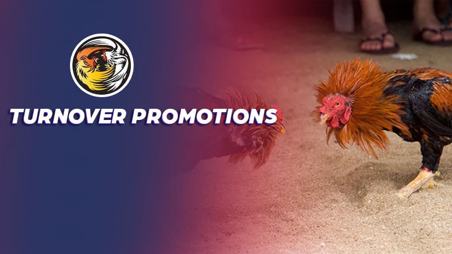 Turnover Promotions