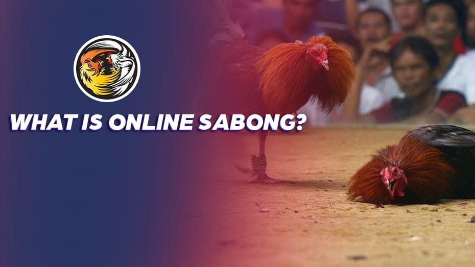 What is live 24x7 streaming Sabong