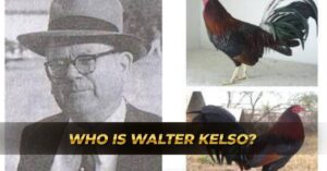 walter kelso